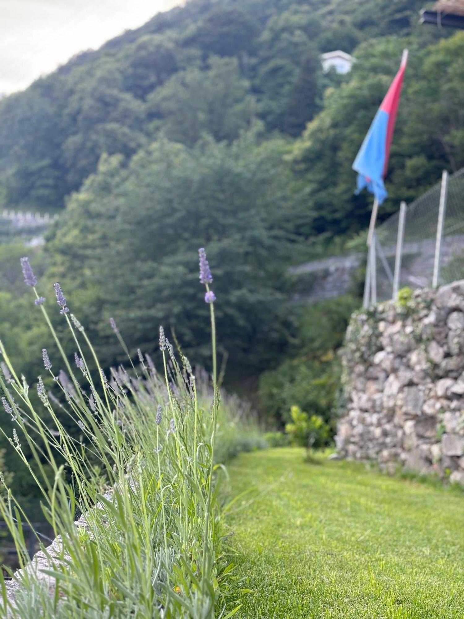 Ca'Gialla Bellinzona Zewnętrze zdjęcie